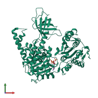 Monomeric assembly 2 of PDB entry 2gk6 coloured by chemically distinct molecules, front view.