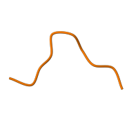 The deposited structure of PDB entry 2gmt contains 1 copy of SCOP domain 50514 (Eukaryotic proteases) in Chymotrypsin A chain A. Showing 1 copy in chain A.