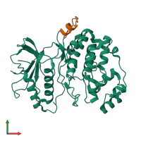 PDB entry 2gph coloured by chain, front view.