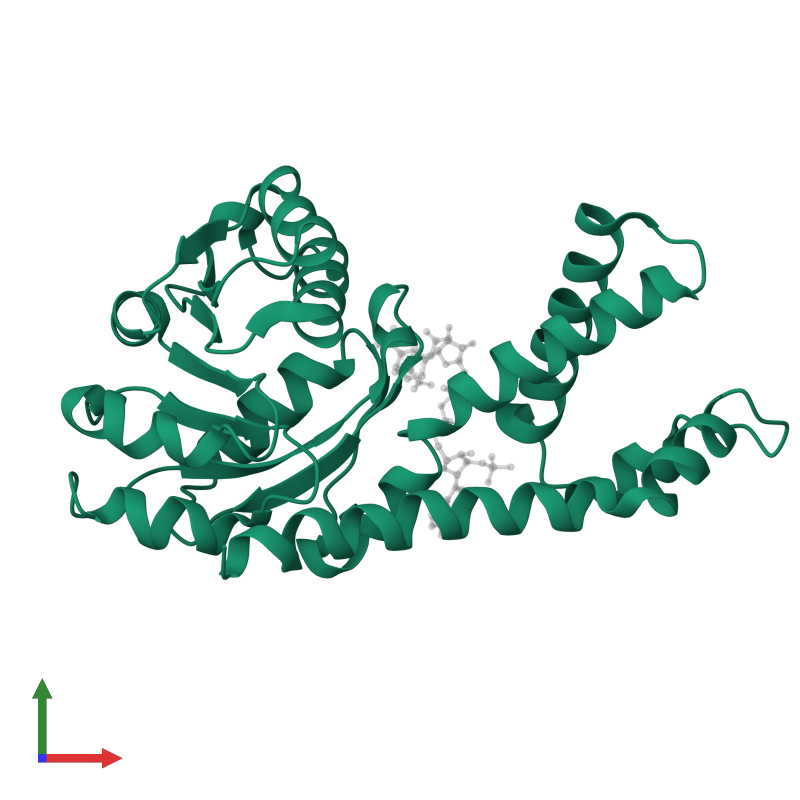 Pdb Gra Gallery Protein Data Bank In Europe Pdbe Embl Ebi