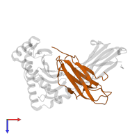 Beta-2-microglobulin in PDB entry 2gt9, assembly 1, top view.