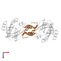 Rab11 family-interacting protein 2 in PDB entry 2gzd, assembly 1, top view.