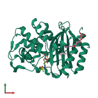 PDB entry 2h0y coloured by chain, front view.