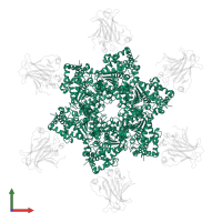 Large T antigen in PDB entry 2h1l, assembly 1, front view.