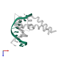 5'-D(*CP*CP*CP*GP*GP*AP*AP*CP*TP*TP*CP*G)-3' in PDB entry 2h27, assembly 2, top view.