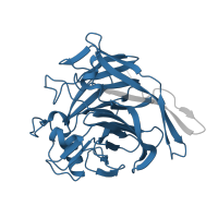 The deposited structure of PDB entry 2h2u contains 2 copies of Pfam domain PF06079 (Apyrase) in Soluble calcium-activated nucleotidase 1. Showing 1 copy in chain B.