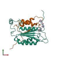 PDB entry 2h48 coloured by chain, front view.