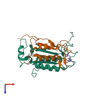 PDB entry 2h54 coloured by chain, top view.