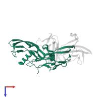 Bone morphogenetic protein 2 in PDB entry 2h62, assembly 1, top view.