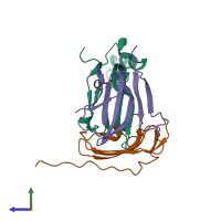 PDB entry 2h64 coloured by chain, side view.
