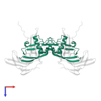 Bone morphogenetic protein 2 in PDB entry 2h64, assembly 1, top view.