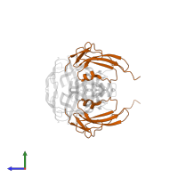 Bone morphogenetic protein receptor type-1A in PDB entry 2h64, assembly 1, side view.