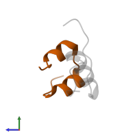 Insulin-like 3 A chain in PDB entry 2h8b, assembly 1, side view.