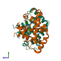 PDB entry 2hbc coloured by chain, side view.