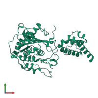PDB entry 2hbj coloured by chain, front view.