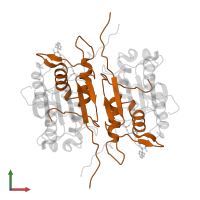 Caspase-1 subunit p10 in PDB entry 2hby, assembly 1, front view.