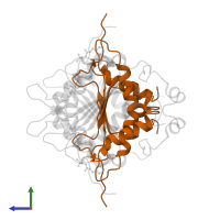 Caspase-1 subunit p10 in PDB entry 2hby, assembly 1, side view.