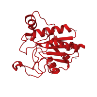 The deposited structure of PDB entry 2he3 contains 1 copy of CATH domain 3.40.30.10 (Glutaredoxin) in Glutathione peroxidase 2. Showing 1 copy in chain A.