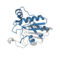 The deposited structure of PDB entry 2he3 contains 1 copy of Pfam domain PF00255 (Glutathione peroxidase) in Glutathione peroxidase 2. Showing 1 copy in chain A.