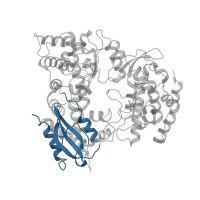 The deposited structure of PDB entry 2hfz contains 1 copy of CATH domain 3.30.70.2840 (Alpha-Beta Plaits) in RNA-directed RNA polymerase NS5. Showing 1 copy in chain A.