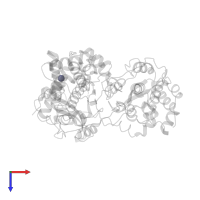 ZINC ION in PDB entry 2hfz, assembly 1, top view.