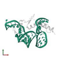 55-MER in PDB entry 2hgh, assembly 1, front view.