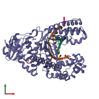 PDB entry 2hhx coloured by chain, front view.