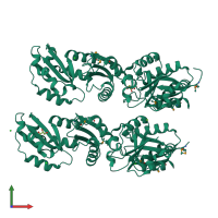 Homo tetrameric assembly 1 of PDB entry 2hiy coloured by chemically distinct molecules, front view.