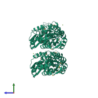 Homo tetrameric assembly 1 of PDB entry 2hiy coloured by chemically distinct molecules, side view.