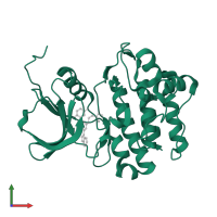 Tyrosine-protein kinase HCK in PDB entry 2hk5, assembly 1, front view.