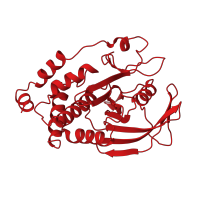 The deposited structure of PDB entry 2hnp contains 1 copy of CATH domain 3.90.190.10 (Protein-Tyrosine Phosphatase; Chain A) in Tyrosine-protein phosphatase non-receptor type 1. Showing 1 copy in chain A.