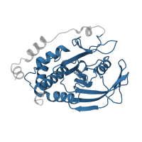 The deposited structure of PDB entry 2hnp contains 1 copy of Pfam domain PF00102 (Protein-tyrosine phosphatase) in Tyrosine-protein phosphatase non-receptor type 1. Showing 1 copy in chain A.