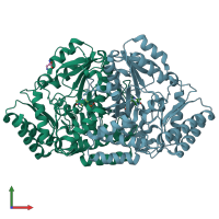 PDB entry 2hoz coloured by chain, front view.