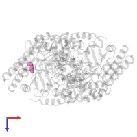 (4S)-4,5-DIAMINOPENTANOIC ACID in PDB entry 2hoz, assembly 1, top view.