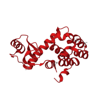 The deposited structure of PDB entry 2huk contains 1 copy of CATH domain 1.10.530.40 (Lysozyme) in Endolysin. Showing 1 copy in chain A.