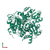 Homo dimeric assembly 1 of PDB entry 2huq coloured by chemically distinct molecules, front view.