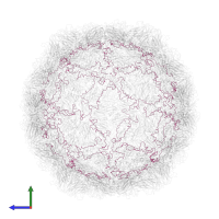 Capsid protein VP4 in PDB entry 2hwb, assembly 1, side view.