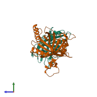 Hetero dimeric assembly 4 of PDB entry 2hzm coloured by chemically distinct molecules, side view.