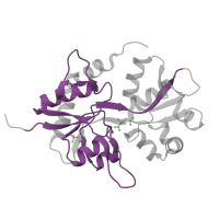 The deposited structure of PDB entry 2i0b contains 3 copies of Pfam domain PF10613 (Ligated ion channel L-glutamate- and glycine-binding site) in Glutamate receptor ionotropic, kainate 2. Showing 1 copy in chain B.