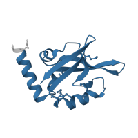 The deposited structure of PDB entry 2i4s contains 2 copies of SCOP domain 159046 (EpsC C-terminal domain-like) in Type II secretion system protein C. Showing 1 copy in chain A.