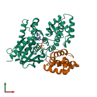 PDB entry 2ihb coloured by chain, front view.