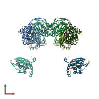 PDB entry 2ii3 coloured by chain, front view.