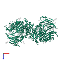 Dipeptidyl peptidase 4 in PDB entry 2iit, assembly 1, top view.