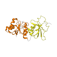 The deposited structure of PDB entry 2ing contains 2 copies of SCOP domain 63955 (BRCT domain) in Breast cancer type 1 susceptibility protein. Showing 2 copies in chain A [auth X].