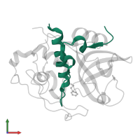 Cathepsin B light chain in PDB entry 2ipp, assembly 1, front view.