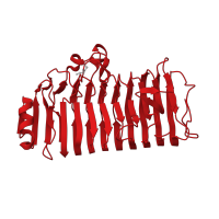 The deposited structure of PDB entry 2iq7 contains 7 copies of CATH domain 2.160.20.10 (Pectate Lyase C-like) in Endopolygalacturonase. Showing 1 copy in chain A.