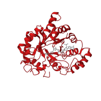 The deposited structure of PDB entry 2iqd contains 1 copy of CATH domain 3.20.20.100 (TIM Barrel) in Aldo-keto reductase family 1 member B1. Showing 1 copy in chain A.