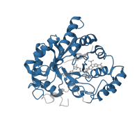 The deposited structure of PDB entry 2iqd contains 1 copy of Pfam domain PF00248 (Aldo/keto reductase family) in Aldo-keto reductase family 1 member B1. Showing 1 copy in chain A.