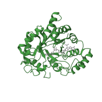 The deposited structure of PDB entry 2iqd contains 1 copy of SCOP domain 51431 (Aldo-keto reductases (NADP)) in Aldo-keto reductase family 1 member B1. Showing 1 copy in chain A.