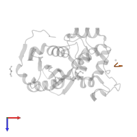TETRAPEPTIDE in PDB entry 2iwb, assembly 1, top view.